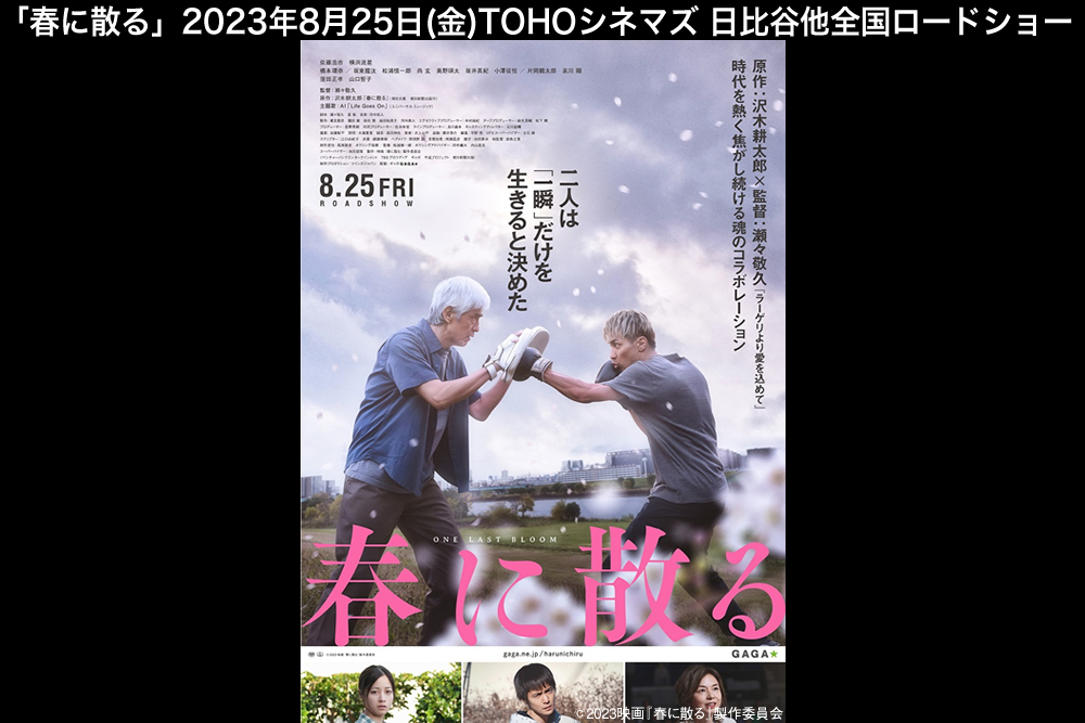 映画『春に散る』公式サイト