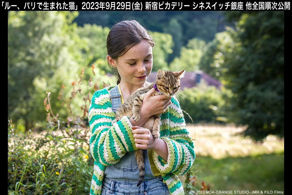 映画『ルー、パリで生まれた猫』公式サイト