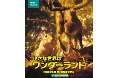 小さな世界はワンダーランド TVオリジナル完全版 Blu-ray