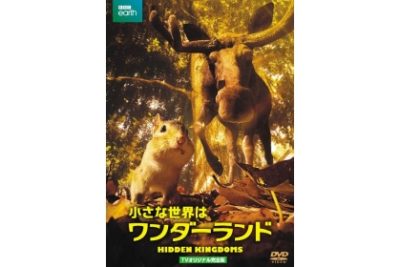 小さな世界はワンダーランド TVオリジナル完全版（2枚組）